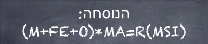 הנוסחה: (M+FE+O)*MA=R(MSI)